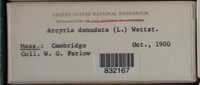 Image Associated With the Occurence